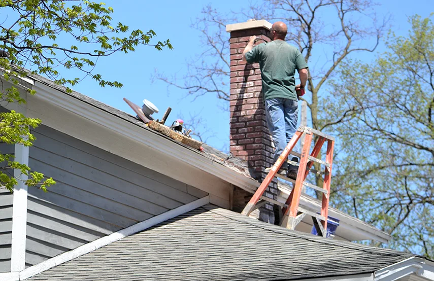 Chimney & Fireplace Inspections Services in Brooklyn Park, MN